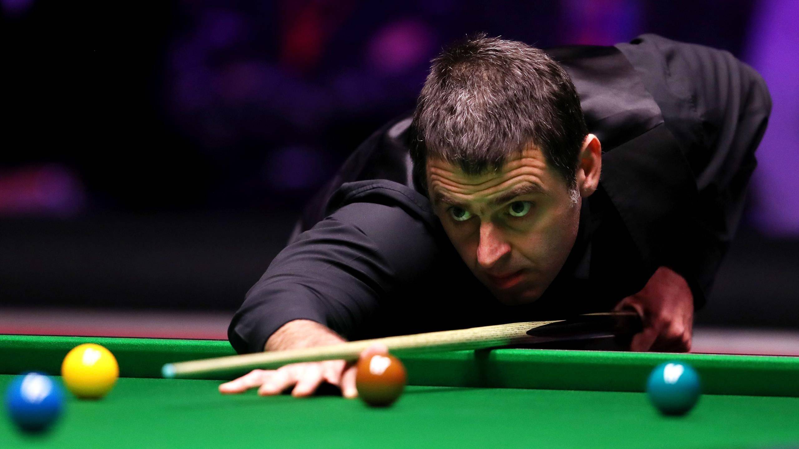 他以顽强的 他以顽强的