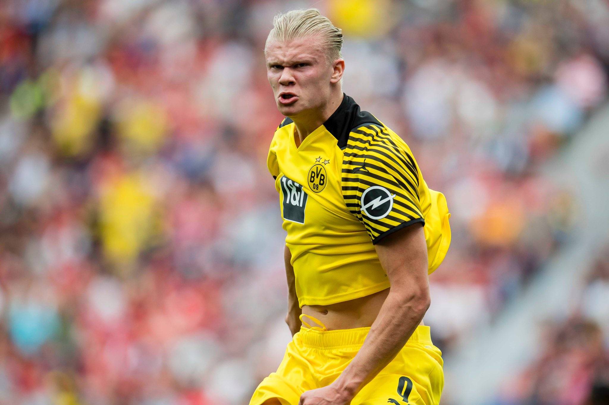 文化与精神 文化与精神