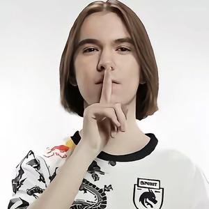 它只忠于规